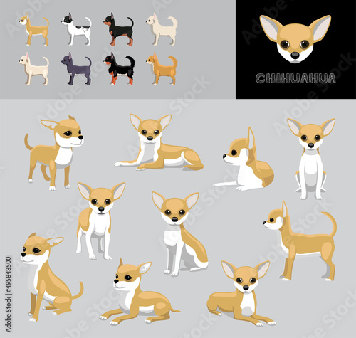 Dog Chihuahua Cartoon Vector Illustration Color Variation Set
