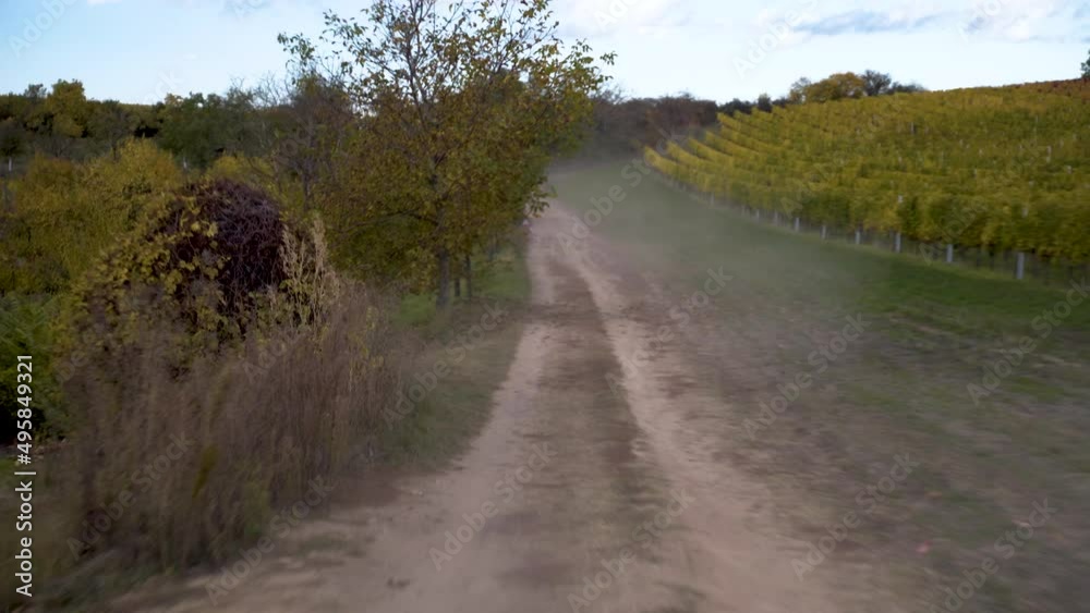 Fast action dolly shot of dusty country road along vineyard in autumn. Fast action dolly shot of dusty country road along vineyard in autumn.