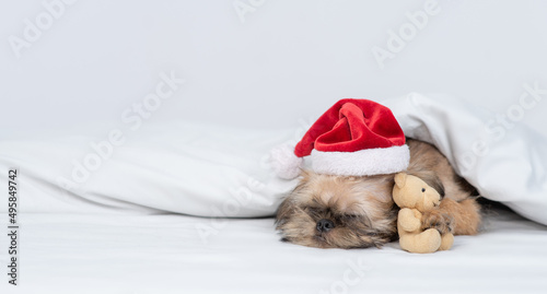Tired Brussels Griffon puppy wearing red santa hat sleeps with toy bear on a bed under white warm blanket at home. Empty space for text