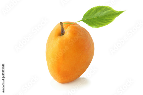 The big flat apricot with leaf isolated on white background