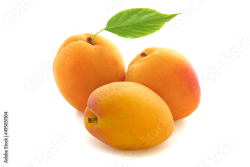 Three big flat apricots with leaf isolated on white background