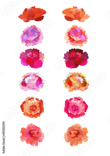 カーネーションの花の素材 © hippe