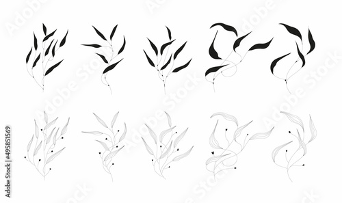 Fototapeta Naklejka Na Ścianę i Meble -  Set of black silhouettes of tropical leaves on an isolated white background. Botanical tree branches, palm leaf on the stem. Spring summer leaf. Concept design logo icons. Vector illustration.