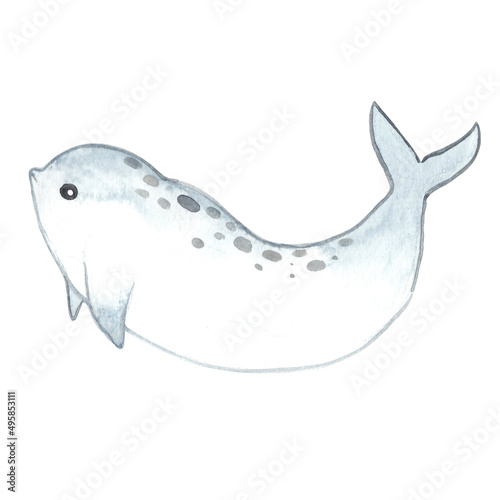irrawaddy dolphin watercolor illustration for decoration on sea life and ocean. © beelaa