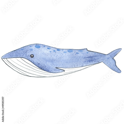 humpback whale watercolor illustration for decoration on sea life and ocean.