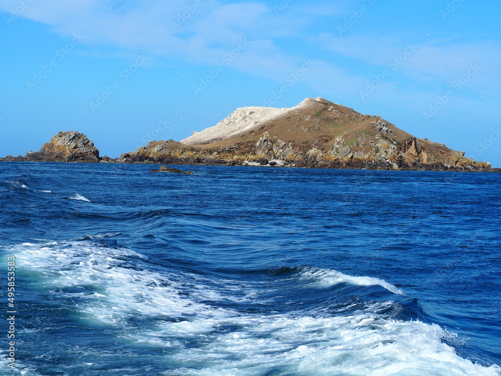 Visite de l'archipel des sept îles en bateau, Perros-Guirec