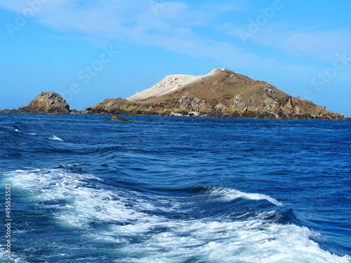 Visite de l archipel des sept   les en bateau  Perros-Guirec