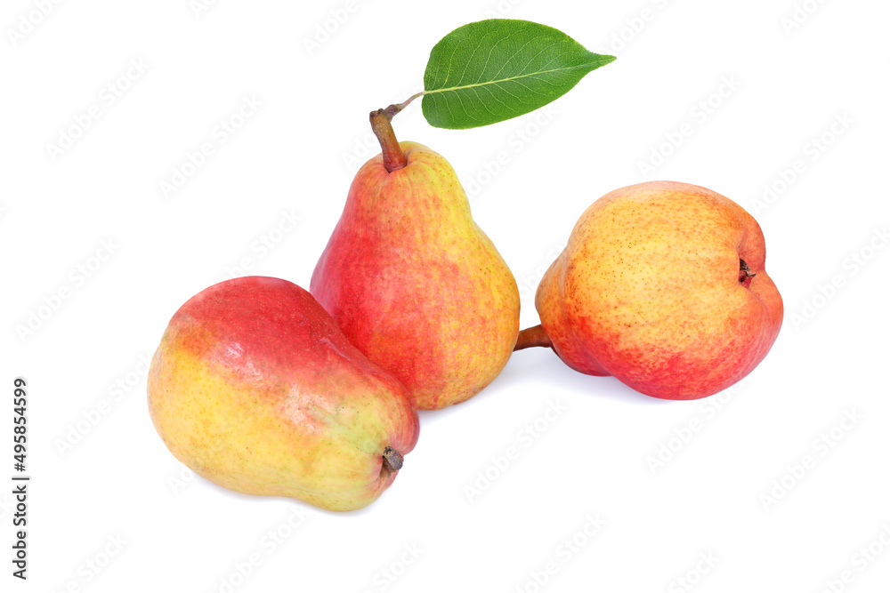 Three snow pears with leaf isolated on white Three snow pears with leaf isolated on white