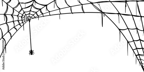 Spider web isolated on white background. doodle Vector illustration of cobweb.