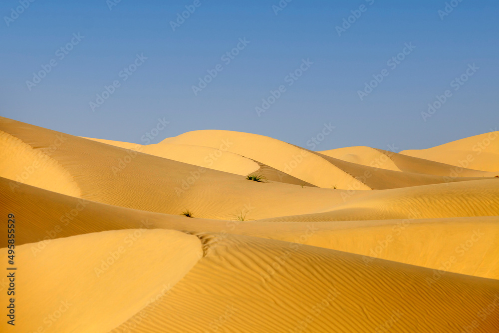 Natural landscape of the sand dunes in the desert in Abu Dhabi