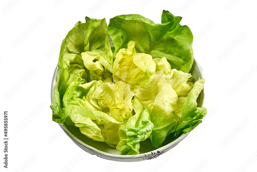 Salad romaine in a plate on a white background Salad romaine in a plate on a white background