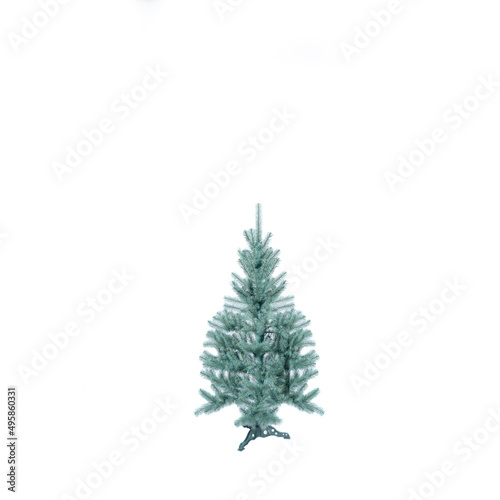 Unadorned Christmas tree, pine isolated on white