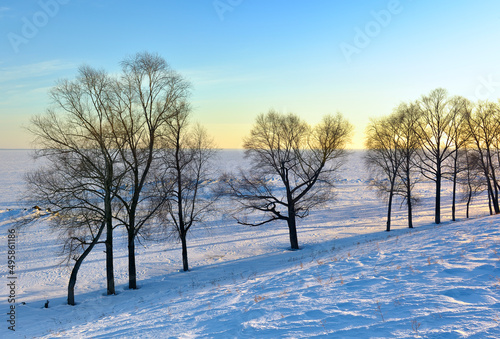 Trees on the winter shore © ArhSib