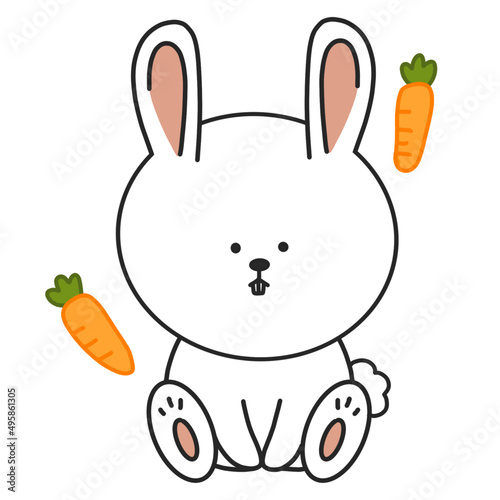 rabbit with carrot