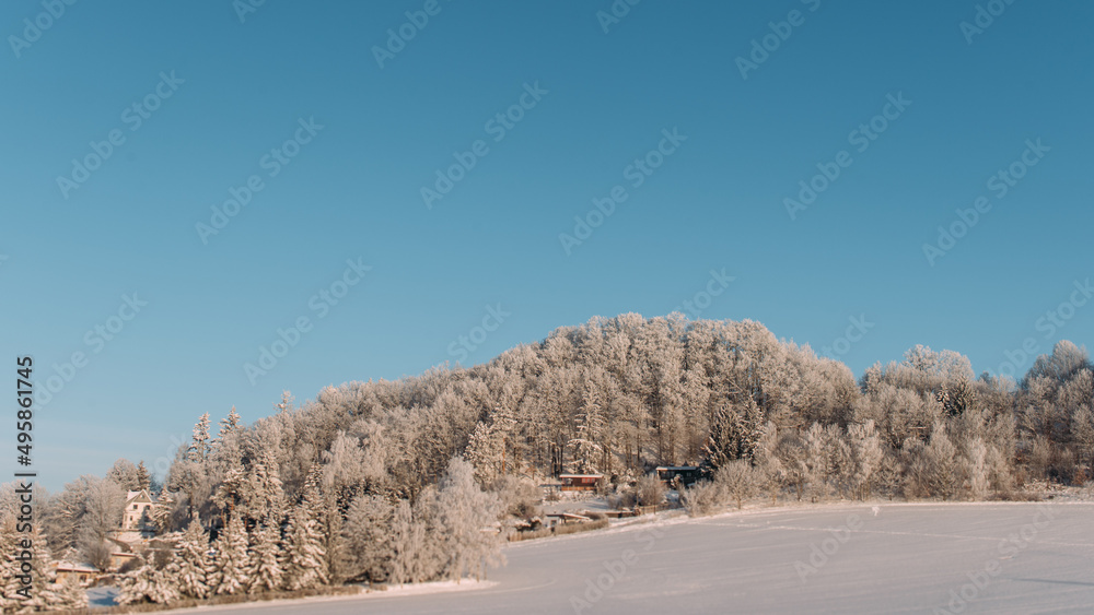 schneebedeckte Bäume vor blauen Himmel im Sonnenschein schneebedeckte Bäume vor blauen Himmel im Sonnenschein