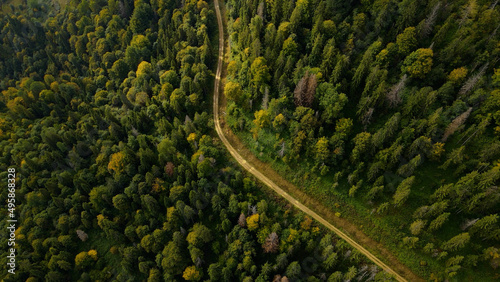 Summer forest trail. Aerial photography. Wood road