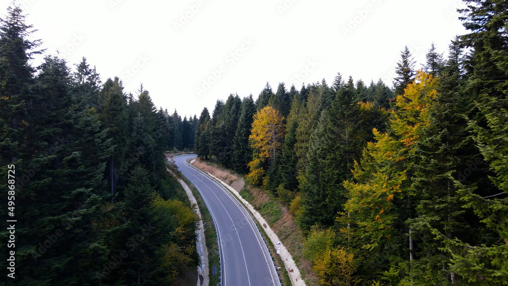 Road in the mountains. Aerial photography
