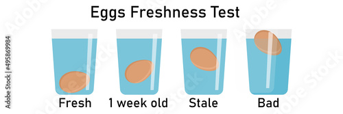 Floating egg in transparent glass bowl of water. Egg freshness test