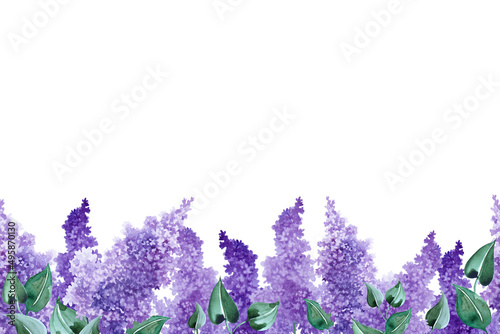 Endless field of lilac flowers on white background. Hand drawn watercolor. Copy space.