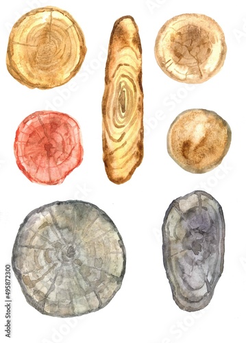 a set of watercolor wood slices. Brown, black and red cuts.tree trunks.wooden texture background