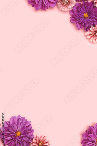 Dahlia flowers on a pink pastel background with copyspace. Creative floral concept with place for text.