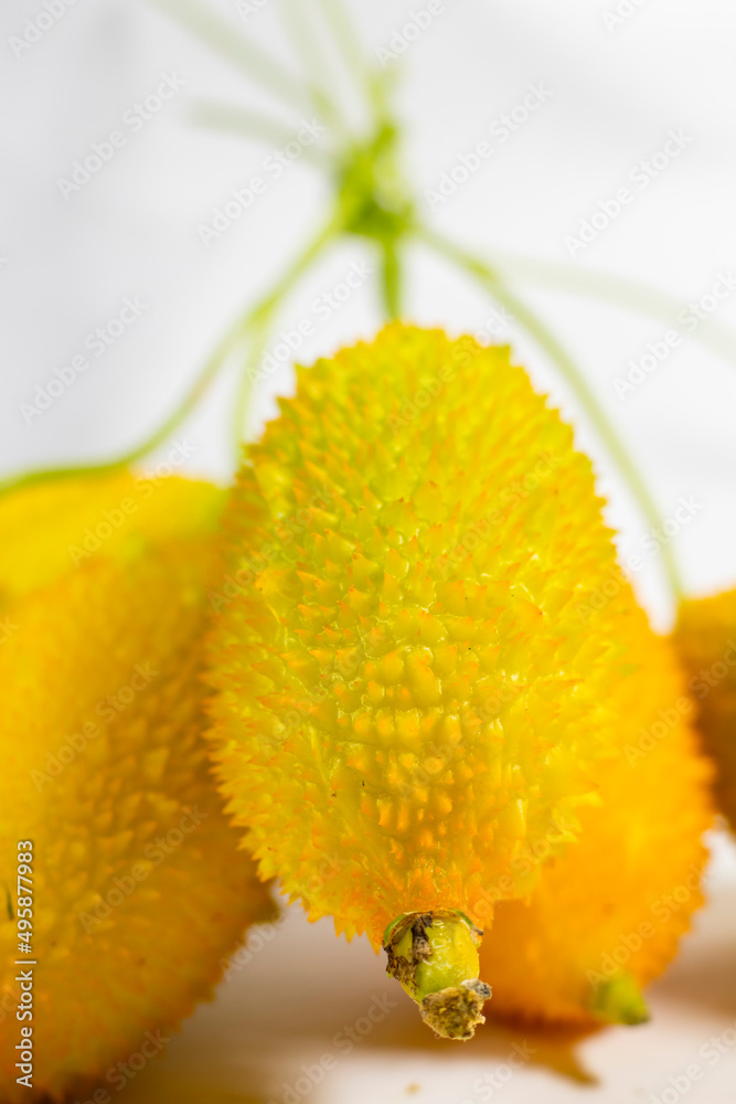 Yellow kakrol With White Background Yellow kakrol With White Background