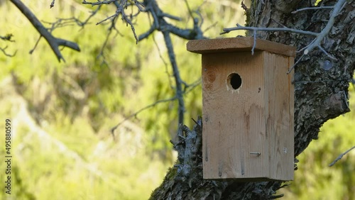 The tiny peekhole of the birdhouse in Estonia photo