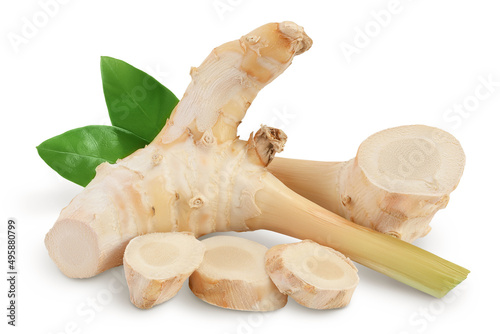 Fresh galangal root with slices isolated on white background with clipping path and full depth of field. photo