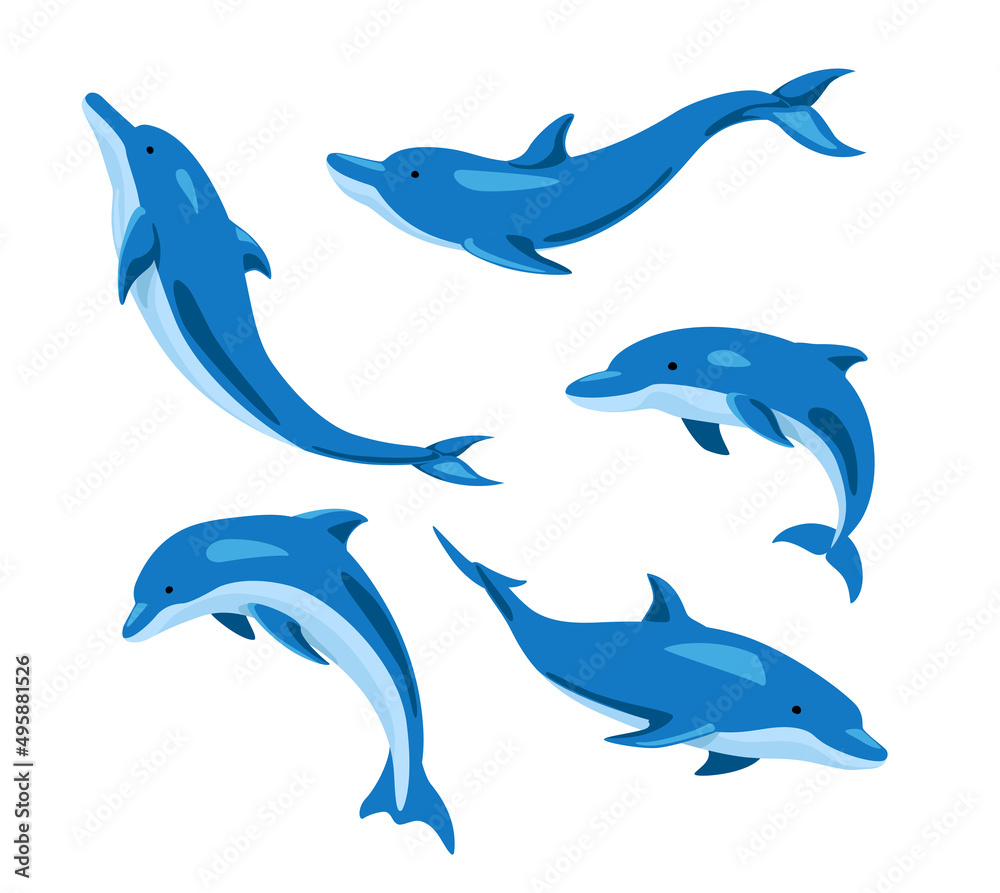 Set of lovely dolphins from different angles on white background. Vector beautiful characters dolphins in cartoon style. Set of lovely dolphins from different angles on white background. Vector beautiful characters dolphins in cartoon style.