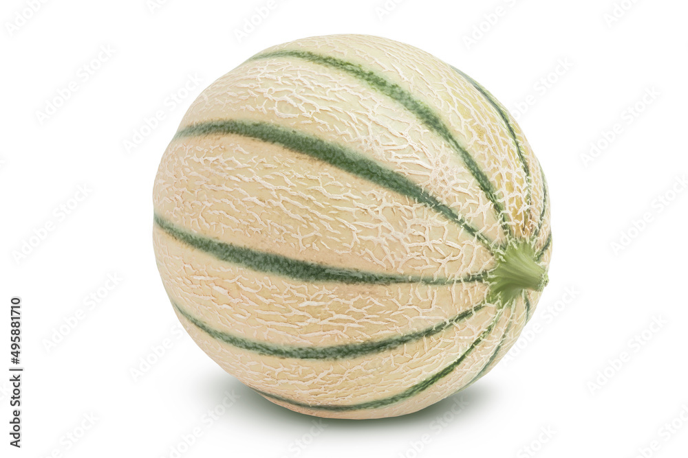 Cantaloupe melon isolated on white background with clipping path and full depth of field Cantaloupe melon isolated on white background with clipping path and full depth of field
