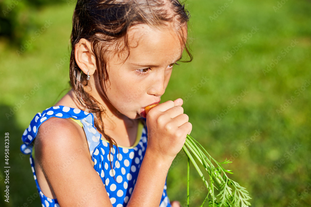 A young girl holds and eat a carrot that she picked from her family's garden A young girl holds and eat a carrot that she picked from her family's garden