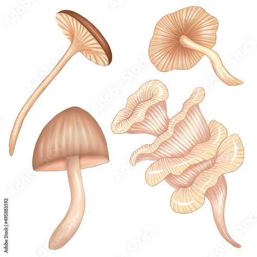 Cute beige fantastic mushrooms set, imaginary cartoon mushrooms, elegante beige botanical elements