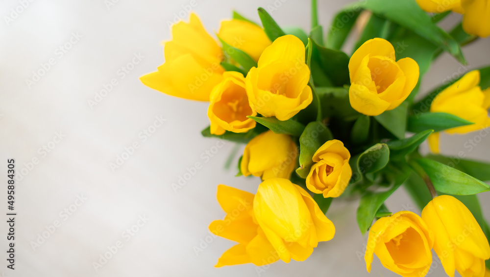 Yellow tulips on a light background. Top view Yellow tulips on a light background. Top view