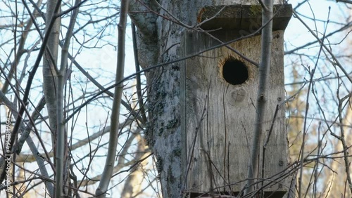 The small peekhole on the birdhouse in Estonia photo