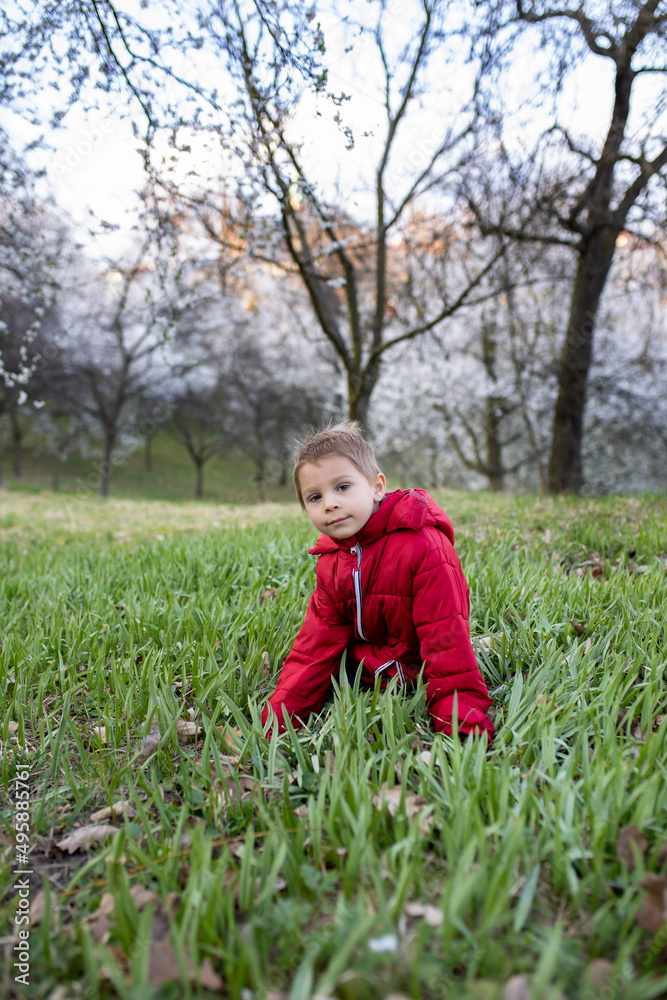 Happy child, toddler boy, visiting spring park in Prague, walking at sunset Happy child, toddler boy, visiting spring park in Prague, walking at sunset