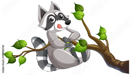 Raccoon hanging on tree branch