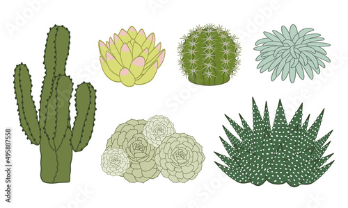 Fototapeta Naklejka Na Ścianę i Meble -  Ensemble d’illustrations vectorielles détourées de plusieurs variétés de plantes grasses et de cactus vue de profil.
