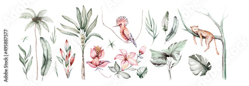Tropical watercolor set birds hummingbird, monkey and jaguar, exotic jungle plants palm banana leaves flowers, flamingo pastel color seamless fabric background