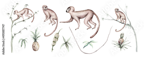 Tropical watercolor birds hummingbird, monkey and jaguar, exotic jungle plants palm banana leaves flowers, flamingo pastel color seamless fabric background