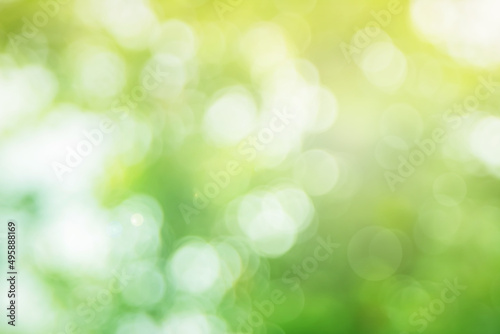 Abstract blurred green color for background, Blur leaves at the health garden outdoor and white bubble focus. 