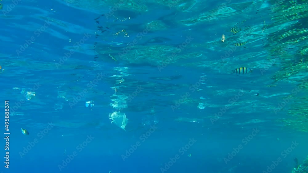 A lot of plastic trash floating in the surface of blue water, along swim colored tropical fish. Underwater shot, Plastic pollution of the Ocean. Massive plastic pollution in the Red Sea (4K - 60fps) A lot of plastic trash floating in the surface of blue water, along swim colored tropical fish. Underwater shot, Plastic pollution of the Ocean. Massive plastic pollution in the Red Sea (4K - 60fps)