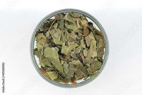Green Dried Neem- Azadirachta indica Leaves Over isolated White