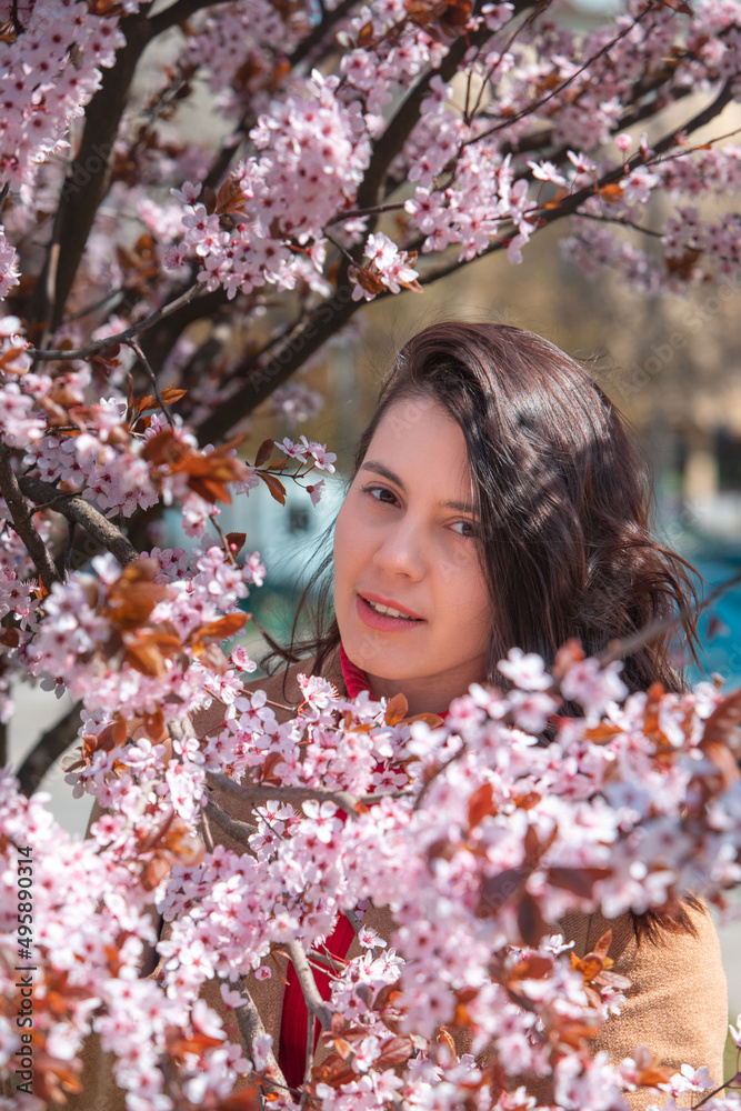 woman taking picture in blooming sakura tree woman taking picture in blooming sakura tree