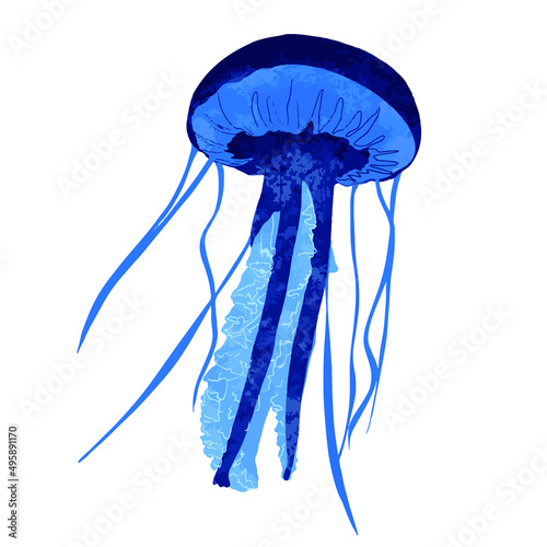 Jellyfish vector icon. Isolated icon medusa.Vector illustration jellyfish on white background.