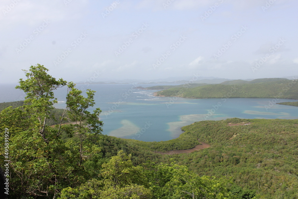 Obraz premium presqu'ile de la caravelle en martinique
