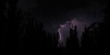 Streaks of bright lightening bolts rip through the purple night sky on a city street with a silhouette of a tree. Lightning strikes the space between the trees at night