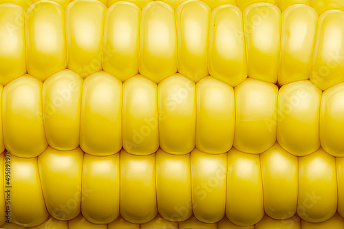 The cob of fresh and sweet corn and its grains in a very close shot.
