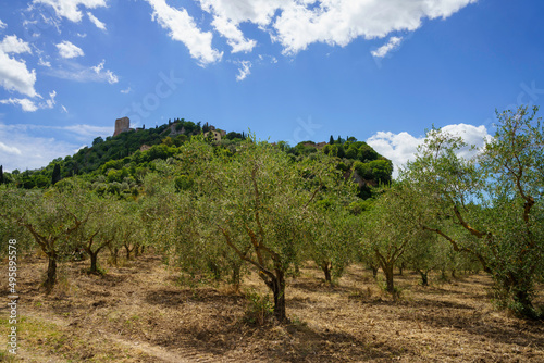 Rural landscape near Castiglione,Siena, Tuscany