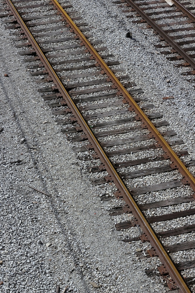Fototapeta premium railroad tracks in the countryside