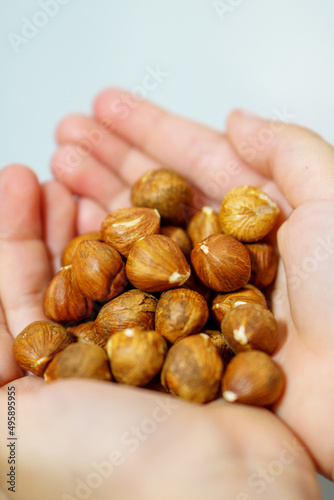 real homemade hazelnuts without shell